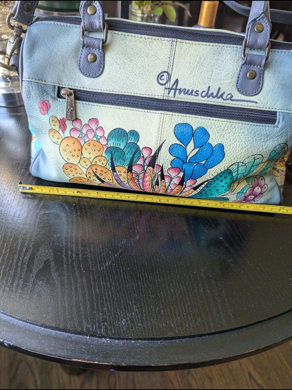 Anuschka hand painted